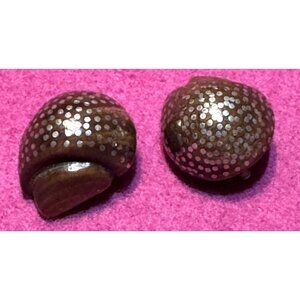 Patricia Von Musulin Vintage Clip-On Earrings Lignum Vitae Wood Sterling Silver